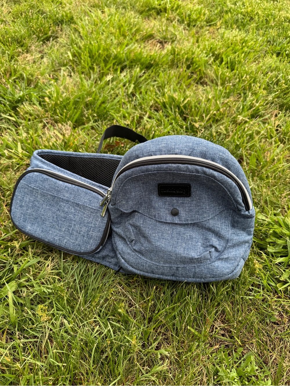 Tushbaby toddler carrier